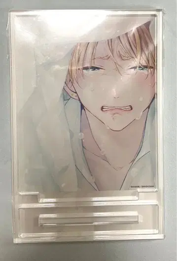 첫사랑의 소리 아크릴 그래픽 패널 아메키리