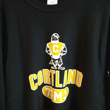 챔피온 리버스 위브 맨투맨 XL 네이비