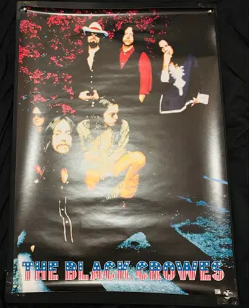 THE BLACK CROWES 포스터 B2 사이즈