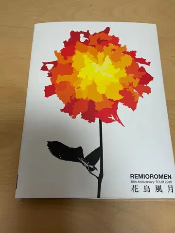 REMIOROMEN 화조풍월 DVD 10th Anniversary