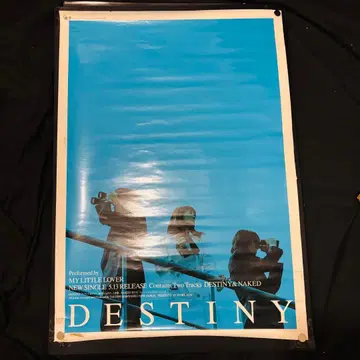 MY LITTLE LOVER DESTINY 포스터 B2 사이즈