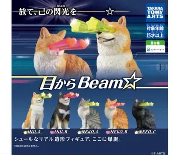 눈에서 빔 전 5종 세트 컴플리트 세트