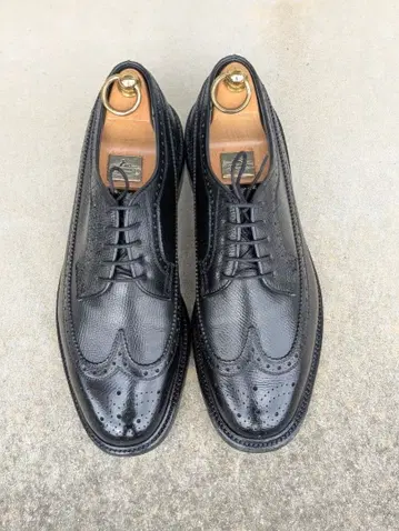 REGAL W104 임페리얼 윙팁 24.5EEE