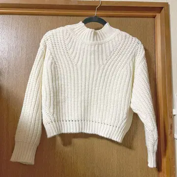 하이넥 숏 니트