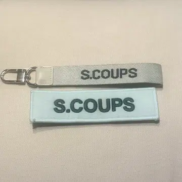 세븐틴 에스쿱스 와펜 배지 스트랩 라이히아 righthere