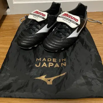 모렐리아 2 25.0cm