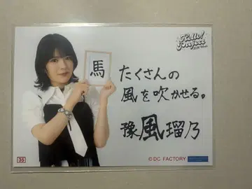 요후우 루노 할로콘 2026 컬렉션 브로마이드