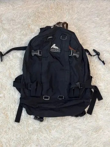[ 귀중 ] GREGORY 블랙 백팩 [ 구 로고 ]
