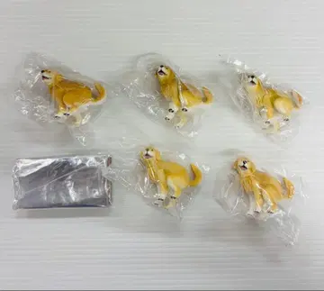 [ 5세트 ] 펀바리누 2 골든 리트리버 x 5