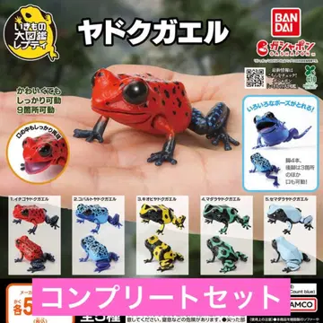 생물대도감 쁘띠 야독개구리 가챠 컴프