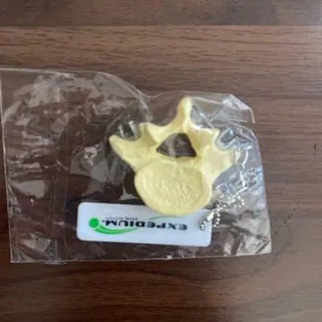 Stratafix 스트랩 크림색