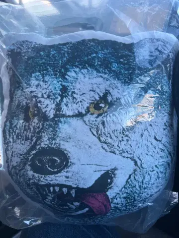 MAN WITH A MISSION F상 쿠션