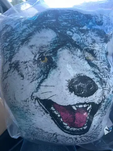 MAN WITH A MISSION G상