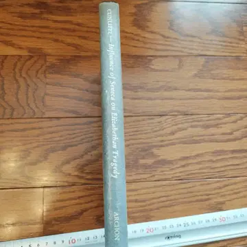 엘리자베스 비극에 대한 공간의 영향