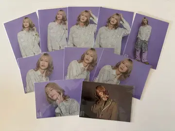 장미 BUDDiiS 브로마이드 MORRIE