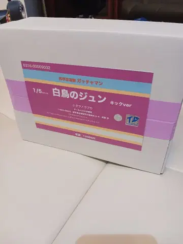 백조의 준 킥Ver 1/5 레진 키트 결품 부품 있음