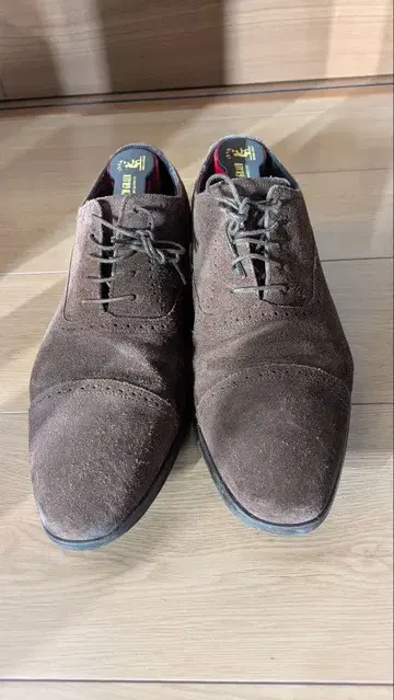 SCOTCH GRAIN 브라운 스웨이드 드레스 신발