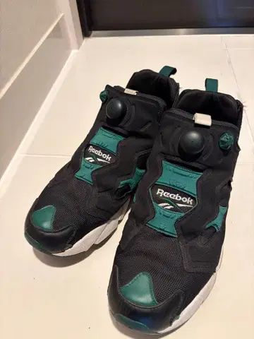 Reebok 펌프 퓨리 29cm