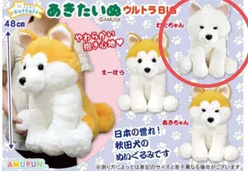 kuttari 쿠타리 아이 강아지 봉제 인형 와타짱
