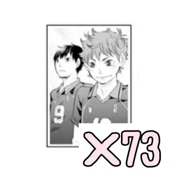 하이큐 크로니클 포토 카드 히나타