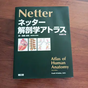 네터 해부학 아틀라스