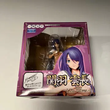 관우 운장 LFD판 피규어