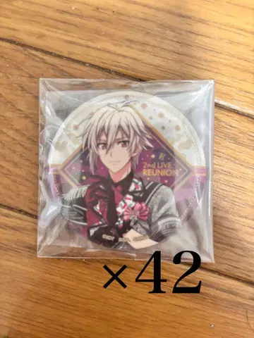 아이나나 reunion 캔뱃지 텐