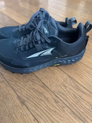 알트라 팀프 5 GTX 남성용