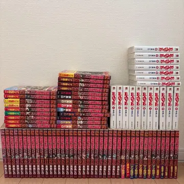 페어리 테일 + 레이브 전권 세트