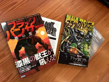 블랙팬서 아메리칸 코믹스 2권