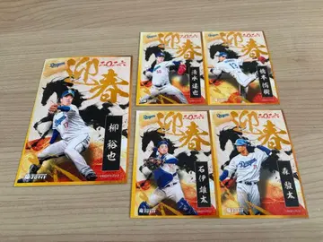 용 브로마이드 14 묶음 판매