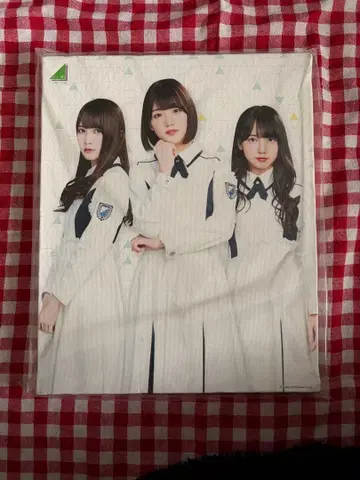 히나타자카46 캔버스 아트 카토 시호 사이토 쿄코 사사키 미레이