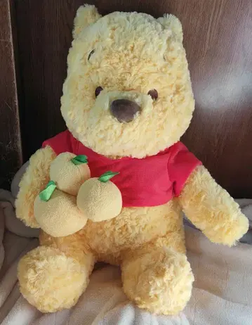 곰돌이 푸 봉제 인형 유자