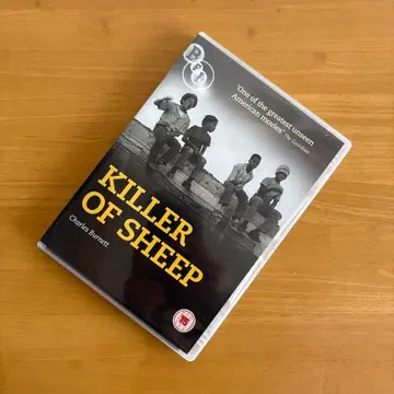 킬러 오브 쉽 DVD