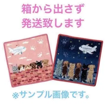 페이러 타월 손수건 JAL 한정판 피핑 리틀 스카이 2장 세트