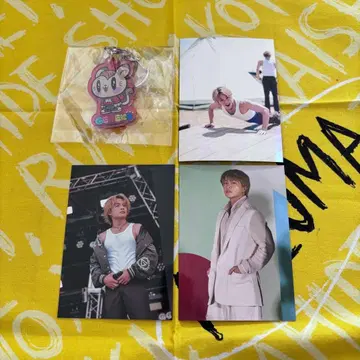 시라하마 아란 6IX SENSE 포토 카드 트레이딩 카드 레어 고양이