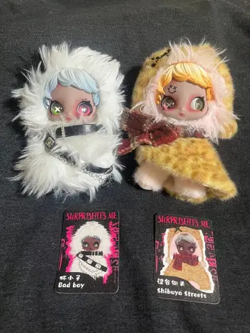 Owen Street Youngster Bad Boy & Shibuya