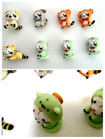 코스 라스칼 마그넷 세트