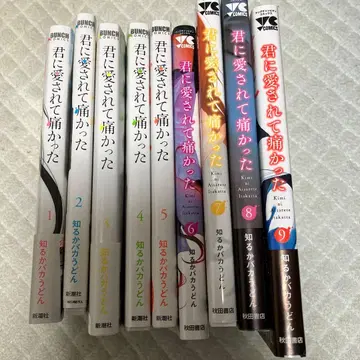 너에게 사랑받아 아팠어 1~9