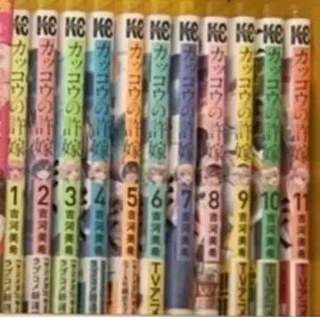 뻐꾸기 커플 1~11권