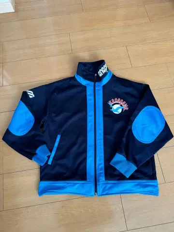 KANAGAWA 국체 저지