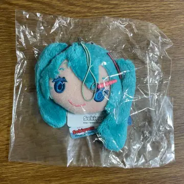 하츠네 미쿠 세키구치 페이스 클리너