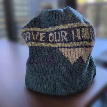 설날 특가 새상품 파타고니아 팬 포그 비니 Save Our Home