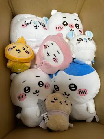 치이카와 (먼작귀) 세트