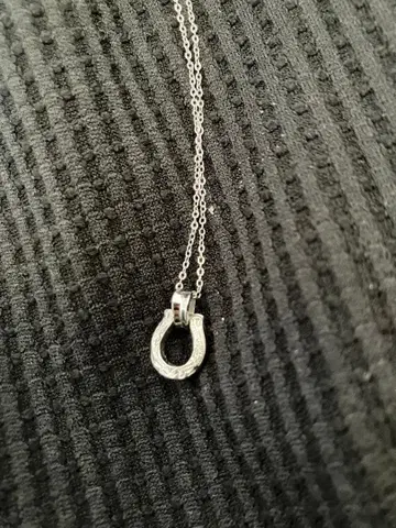 하와이안 스테인리스 소재 호스슈