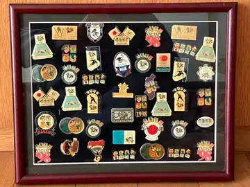 1998년 동계 나가노 올림픽 핀 배지 컬렉션