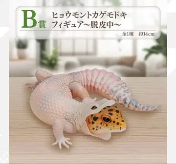 레오파드 게코 피규어 약 14cm BANDAI SPIRITS