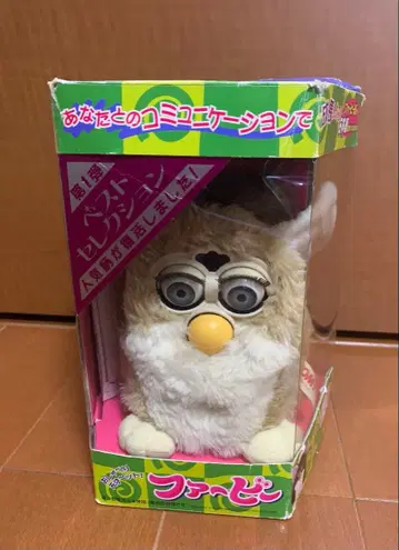 초대 퍼비 베스트 셀렉션 인기 패턴 혈통서 퍼비어 사전 취급 설명서 포함