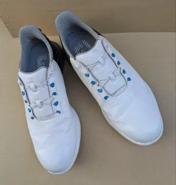 풋조이 퓨얼 보아 WT/BK 26.5cm 55448J