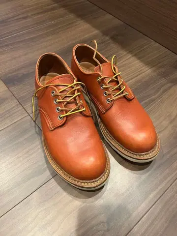 옥스퍼드 플레인토 홍차 단종 레어